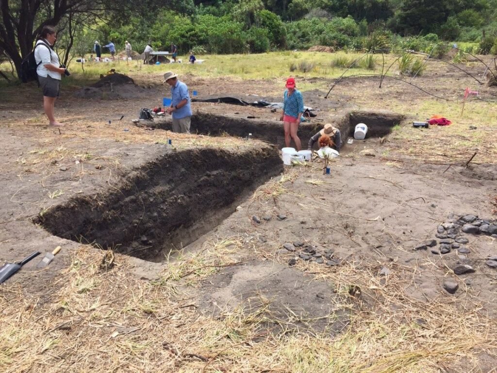 Mangahawea Bay Moturua Island archaeological dig
